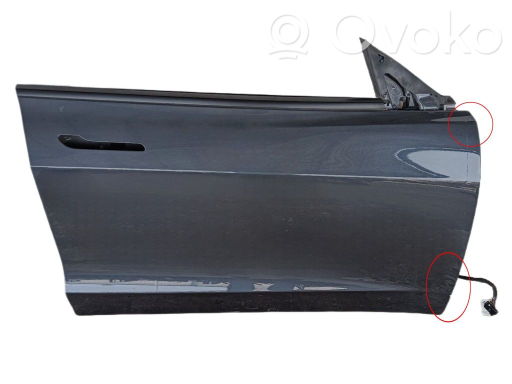 Tesla Model S Front door 