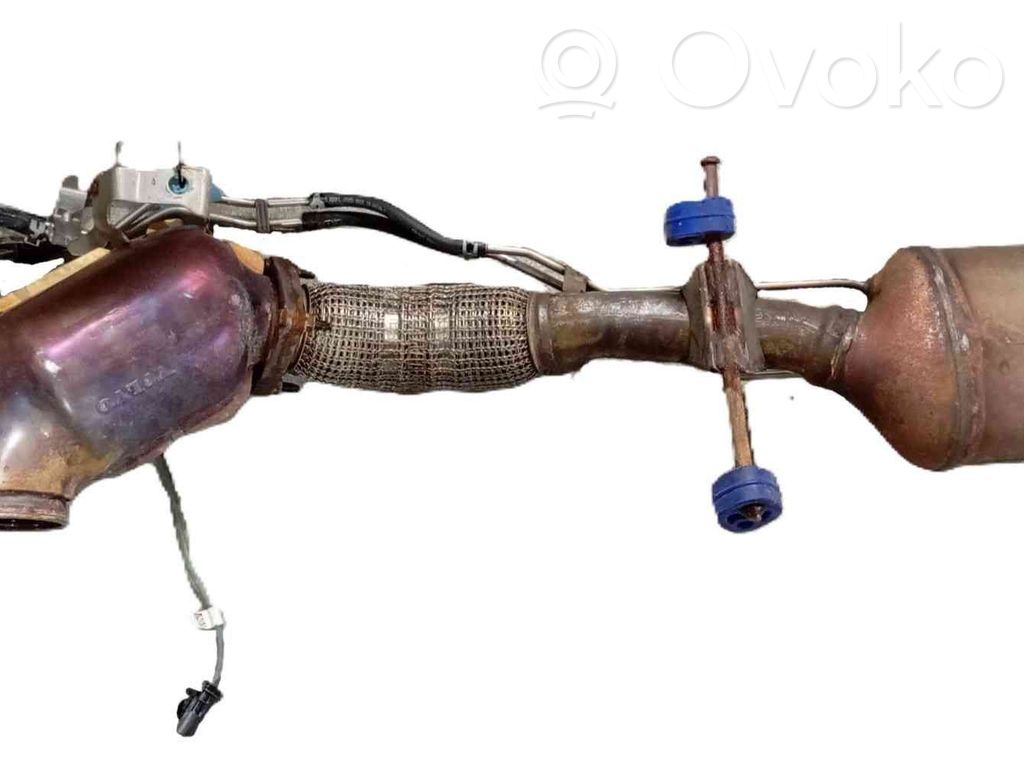 Filtr cząstek stałych Katalizator / FAP / DPF   36003051,ZTNGK
