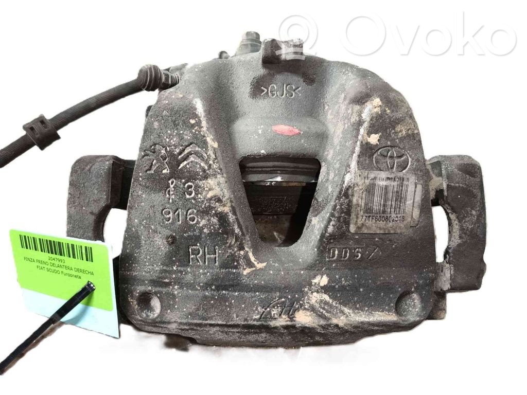 Bremssattel vorne   77TF600802018