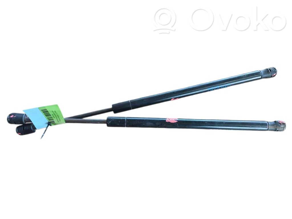 Tesla Model S Amortizor capotă motor 