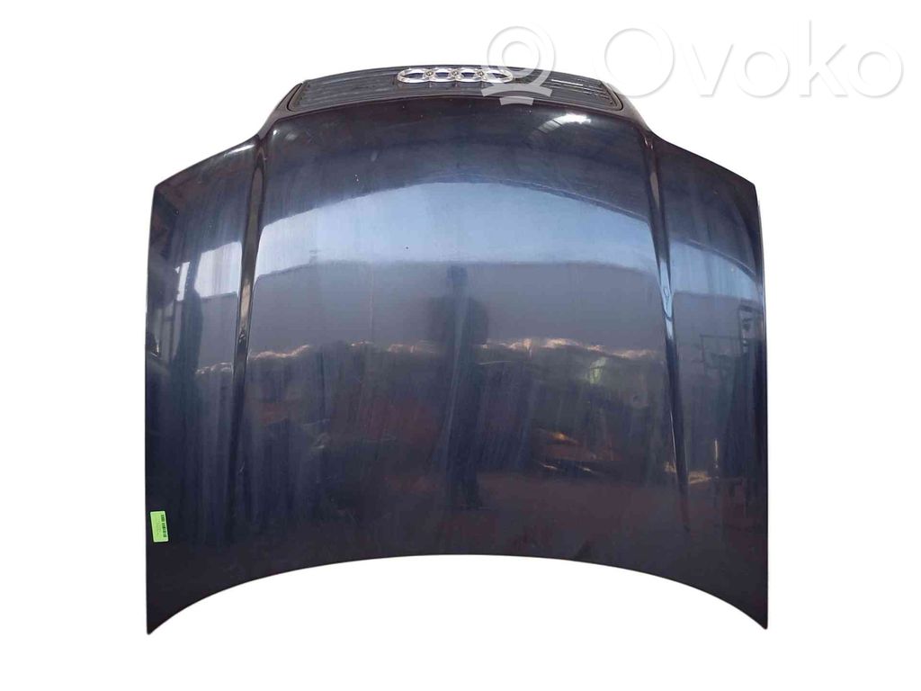 Vano motore/cofano   4B0823029D