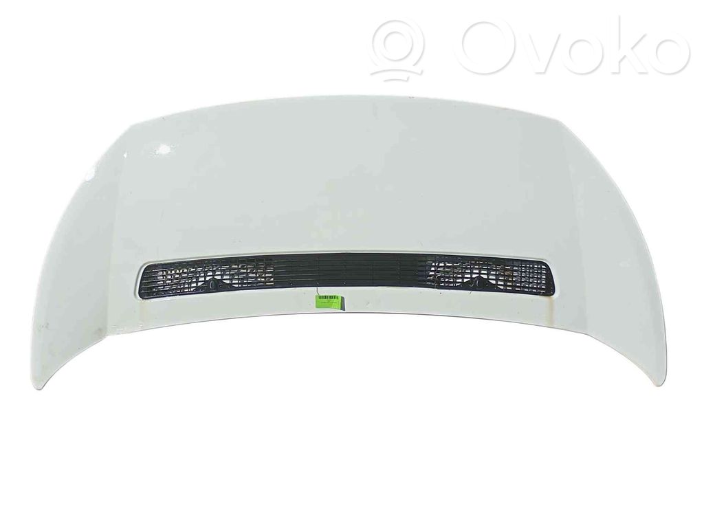 Motorhaube   7901N1