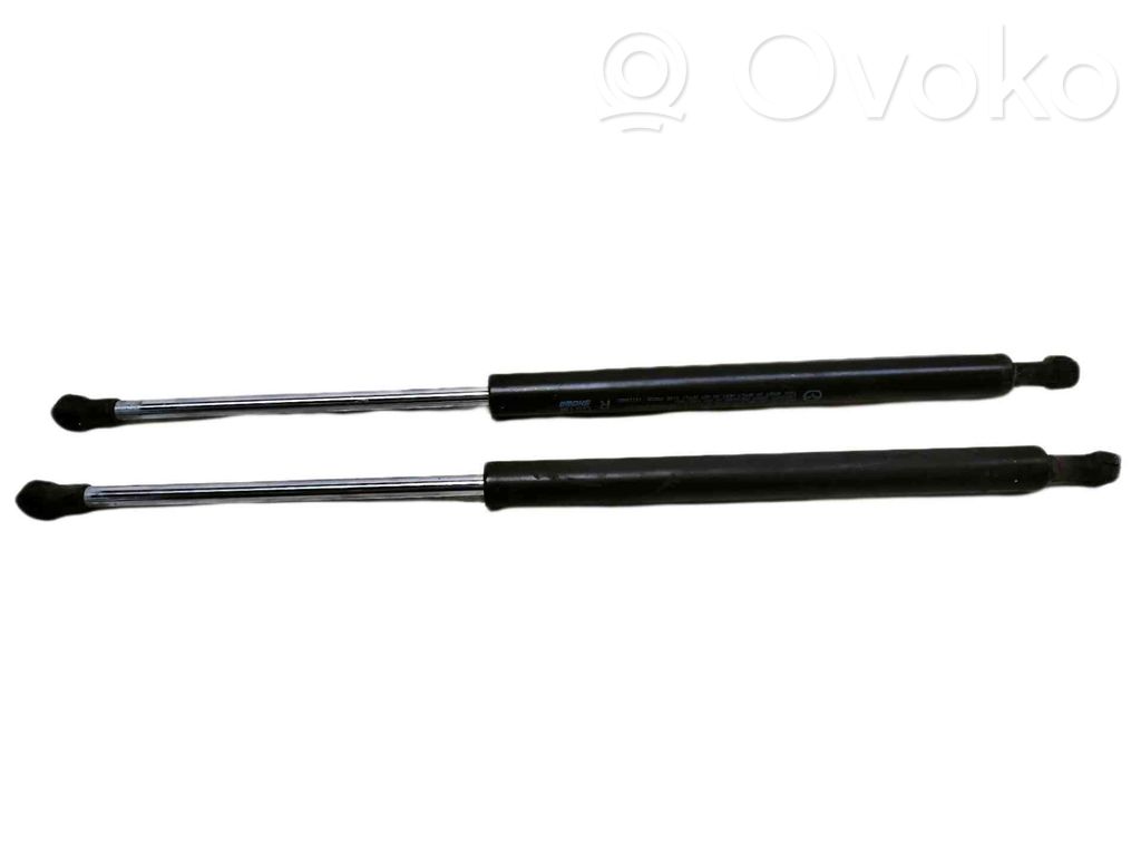 Tailgate/trunk strut/damper   16117AB2