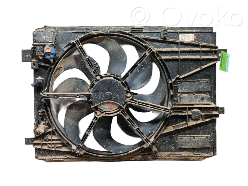 Elektrolüfter   9806313580,20030617