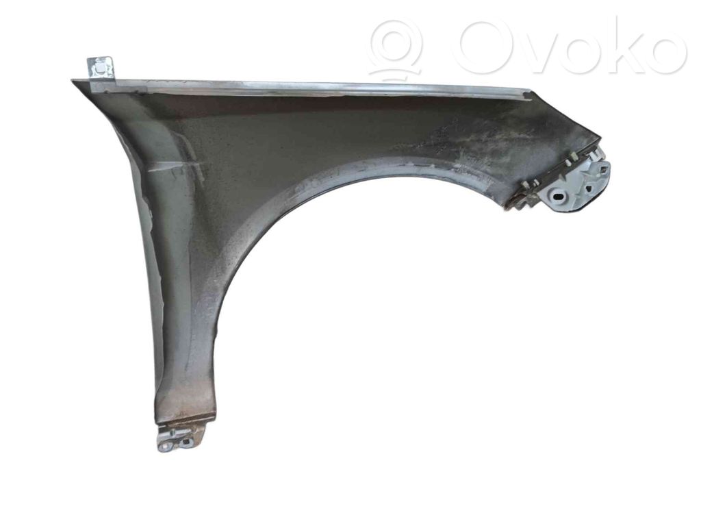Błotnik przedni   2171304,PBM51A16009AG
