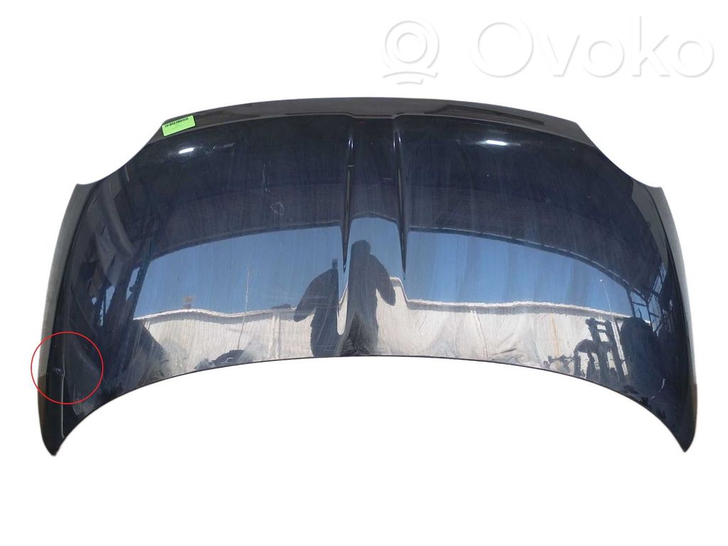 Vano motore/cofano   52009424