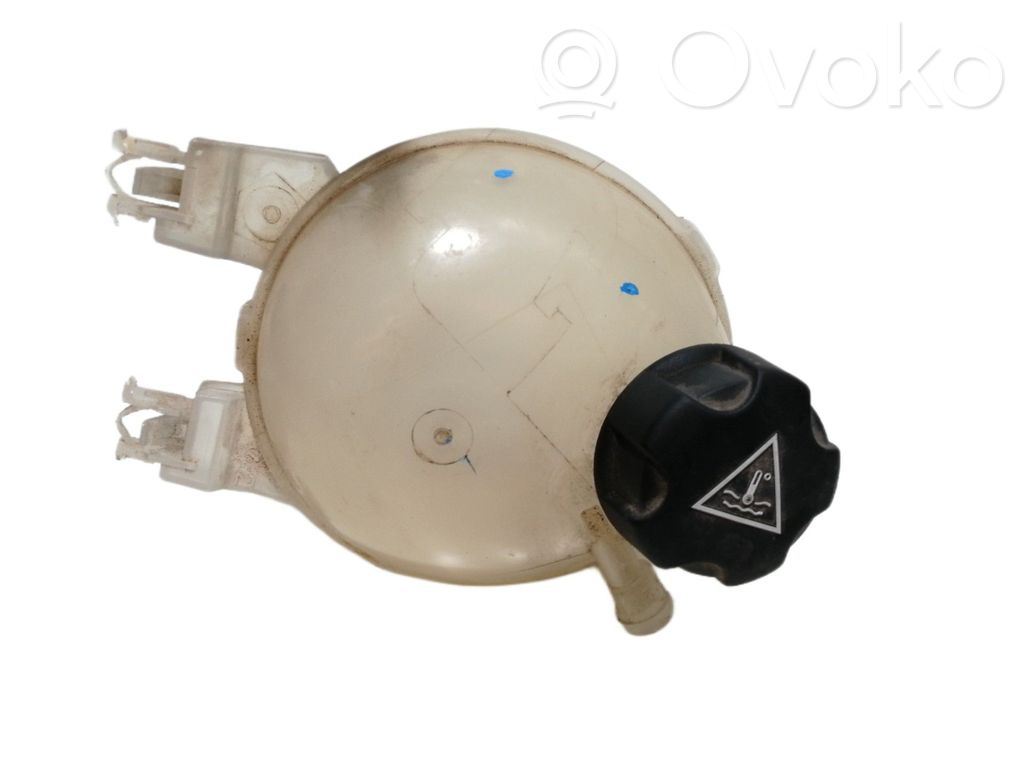 Citroen C3 Pluriel Vas expansiune combustibil 