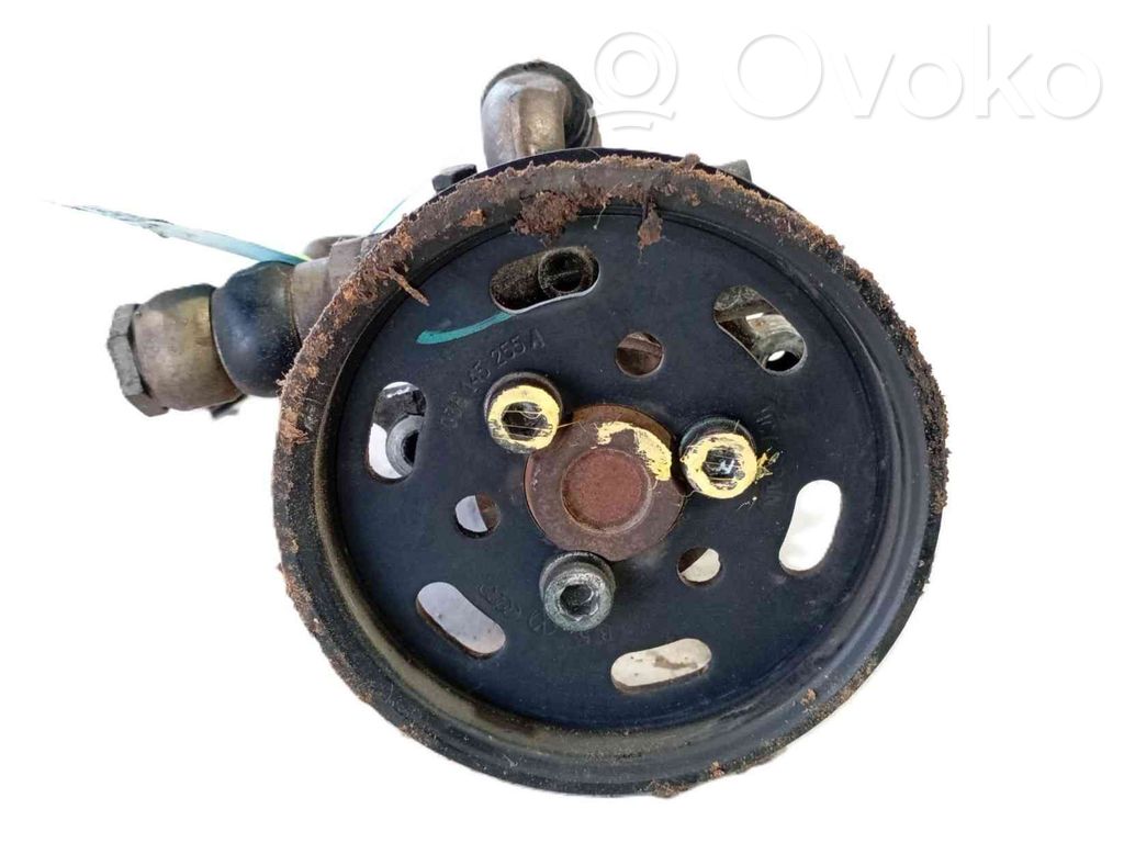 Volkswagen New Beetle Servopumpe