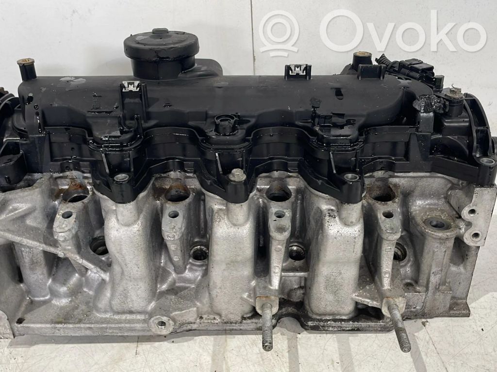Nissan Qashqai Galvutė 