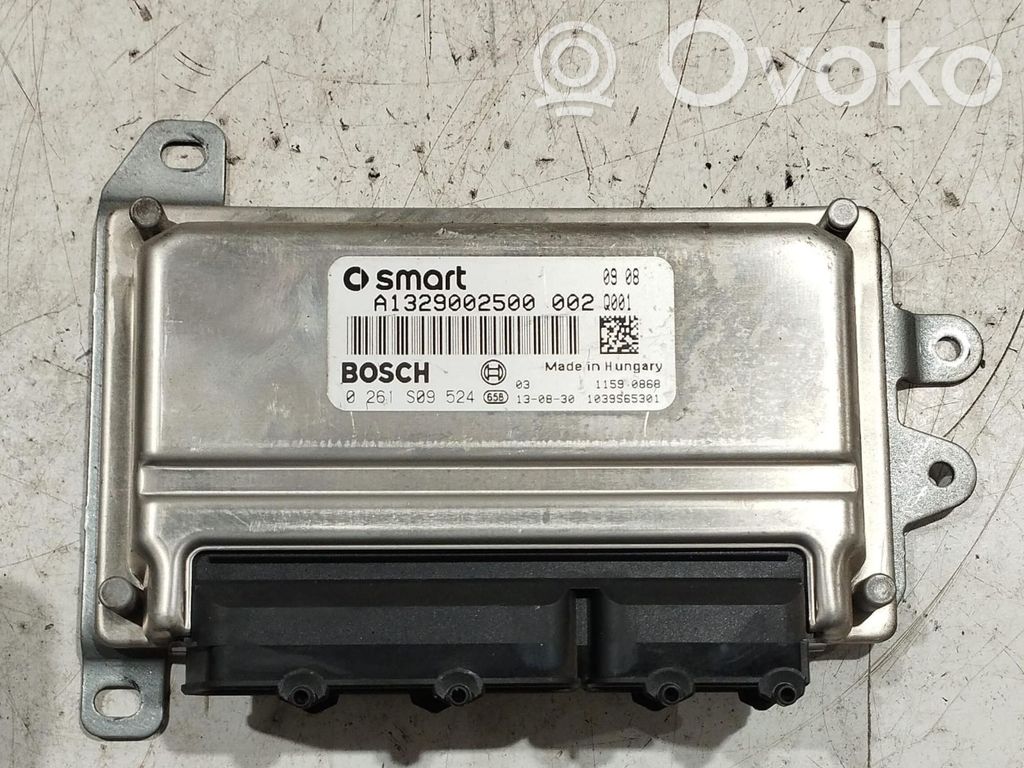 Engine control unit/module   0261S09524,0261S09524