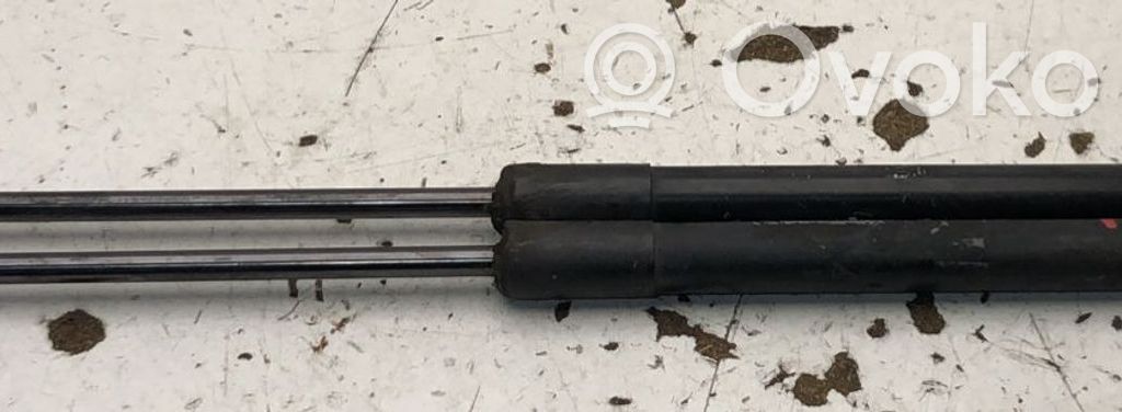 Volkswagen New Beetle Ammortizzatore portellone posteriore/bagagliaio