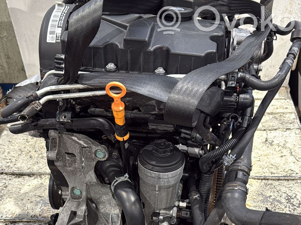 Motor   102360,102360