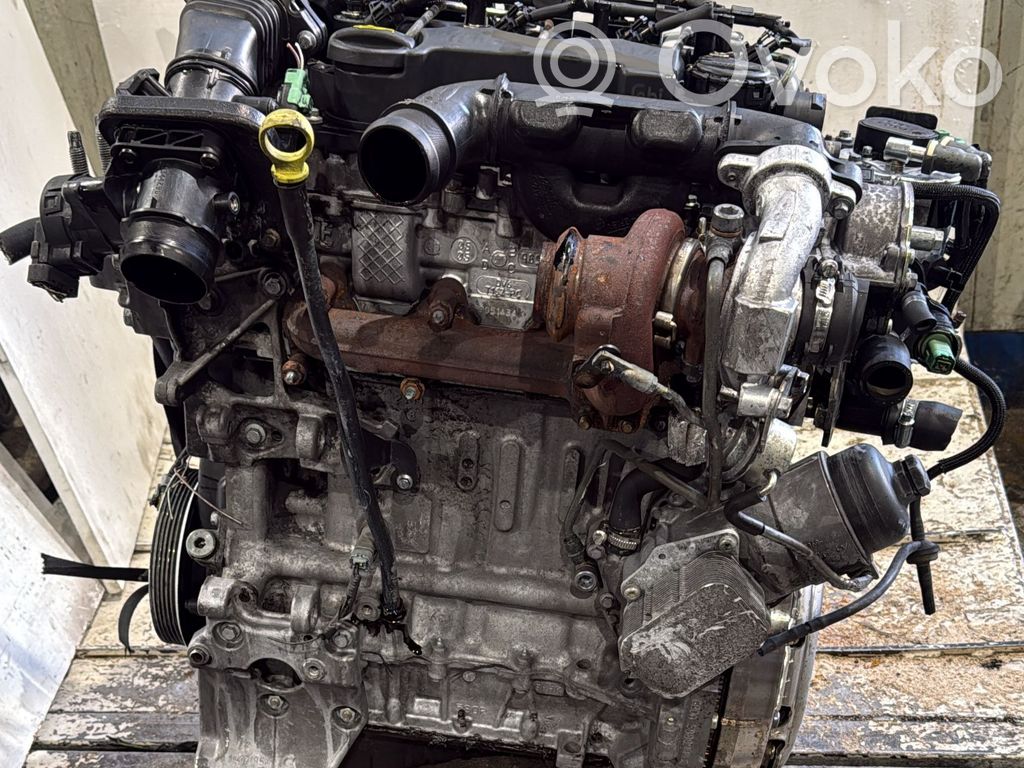 Ford Focus Motor 
