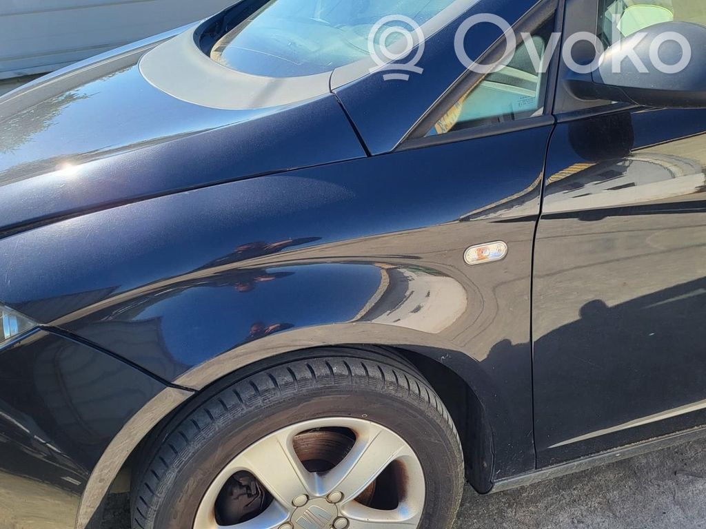 Guardabarro   5P0821021A