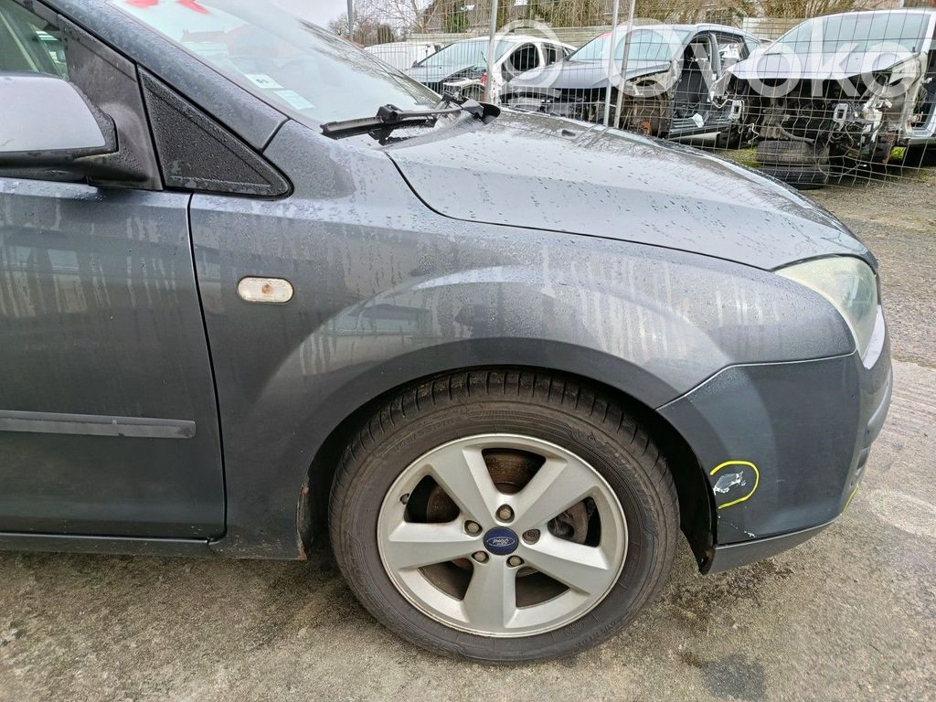 Fender   1376483