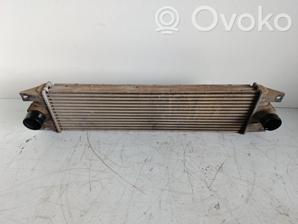 Intercooler radiator   7701043695