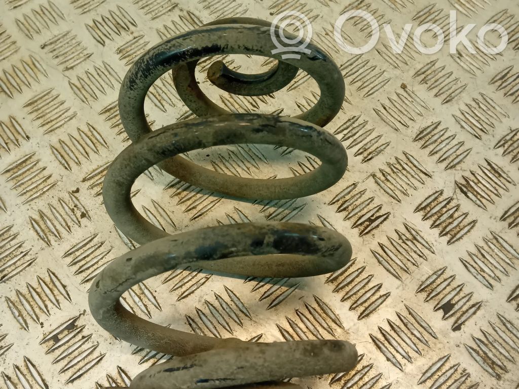 Rear coil spring