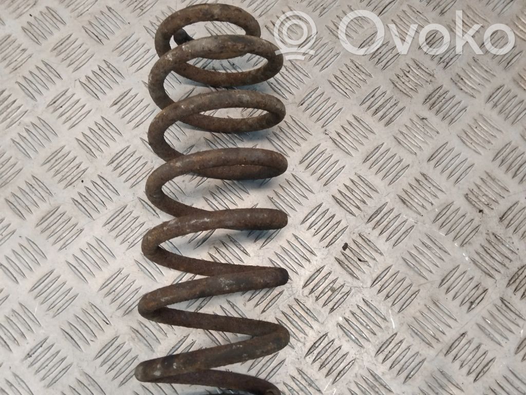 Rear coil spring
