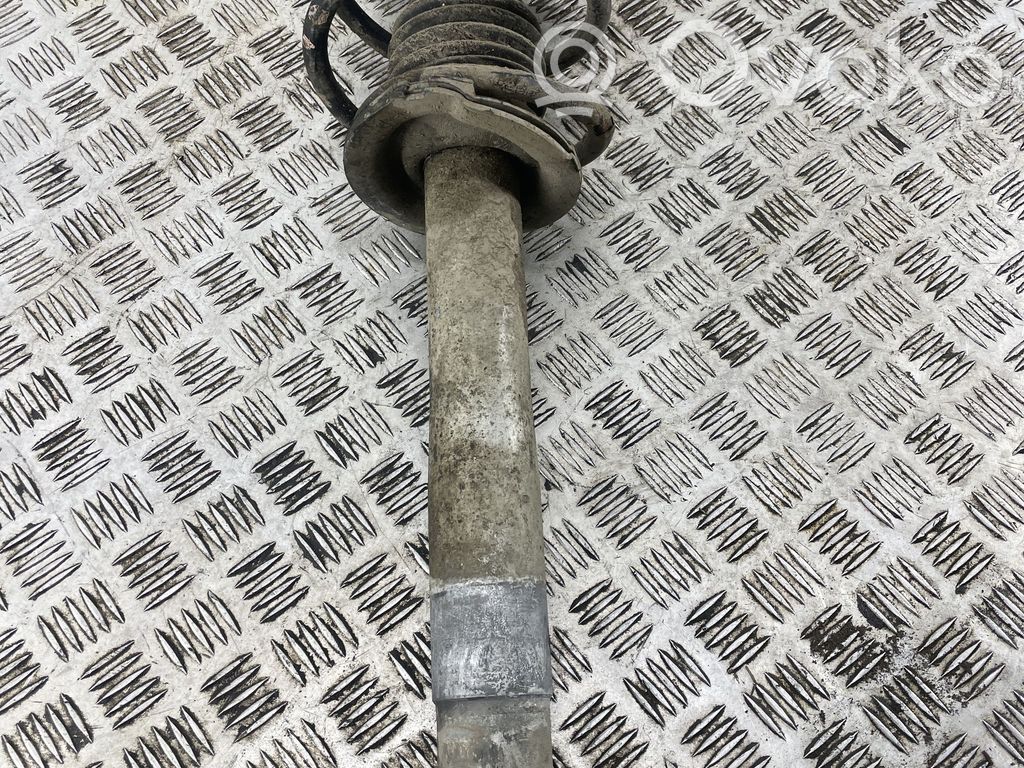 Stoßdämpfer vorne   824904557235