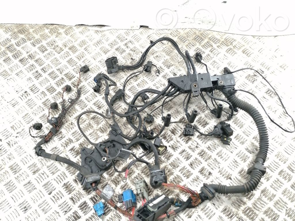 Engine installation wiring loom   779171007