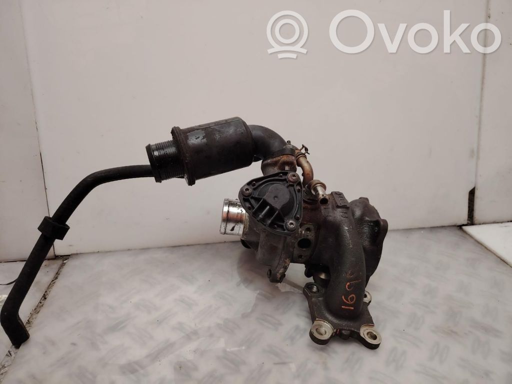 Turbo   53420053