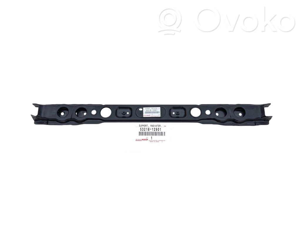 Toyota Prius (XW30) Radiatorių panelė 