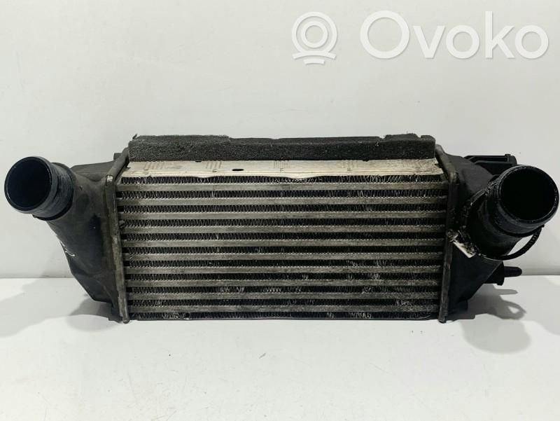 Interkūlerio radiatorius   C1B19L440AC,C1B19L440AC