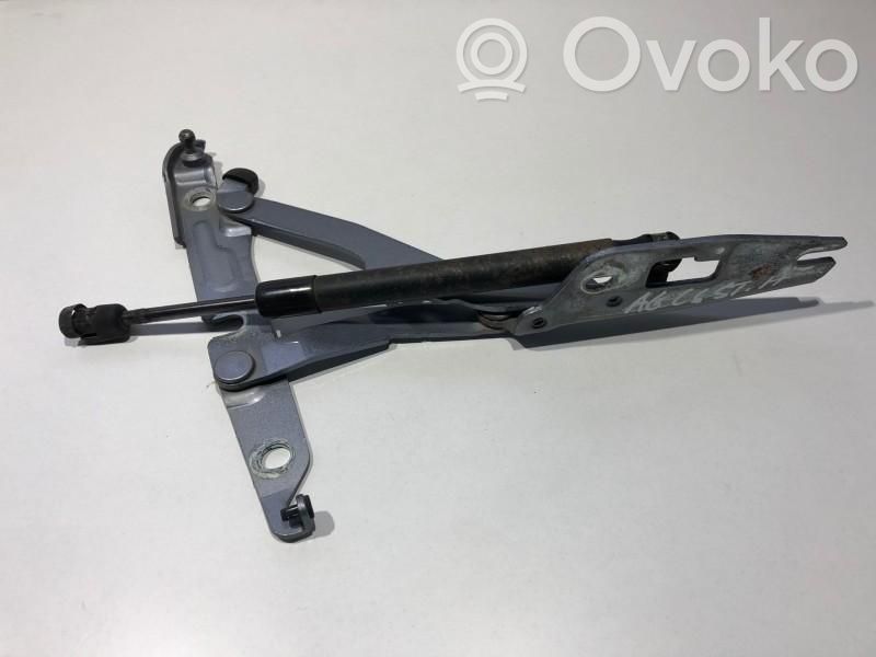 Tailgate/trunk/boot hinge   4F5827301