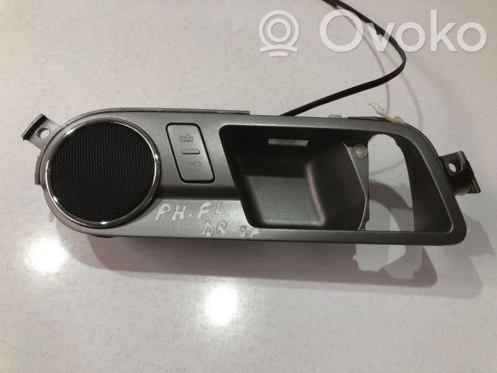 Manecilla externa puerta delantera   3D4839114E