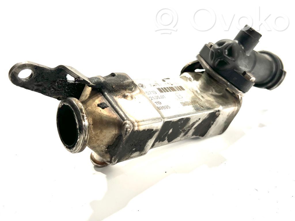 EGR valve cooler   7787404,89895