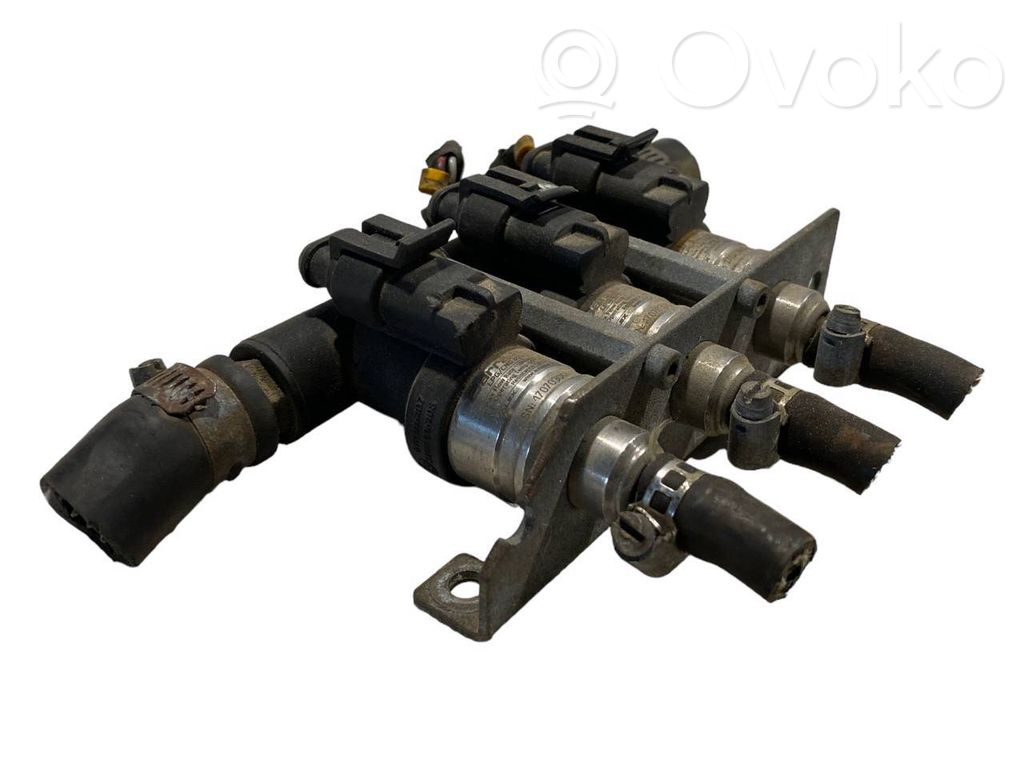 Inyector de gas GLP   67R016409,110R006410
