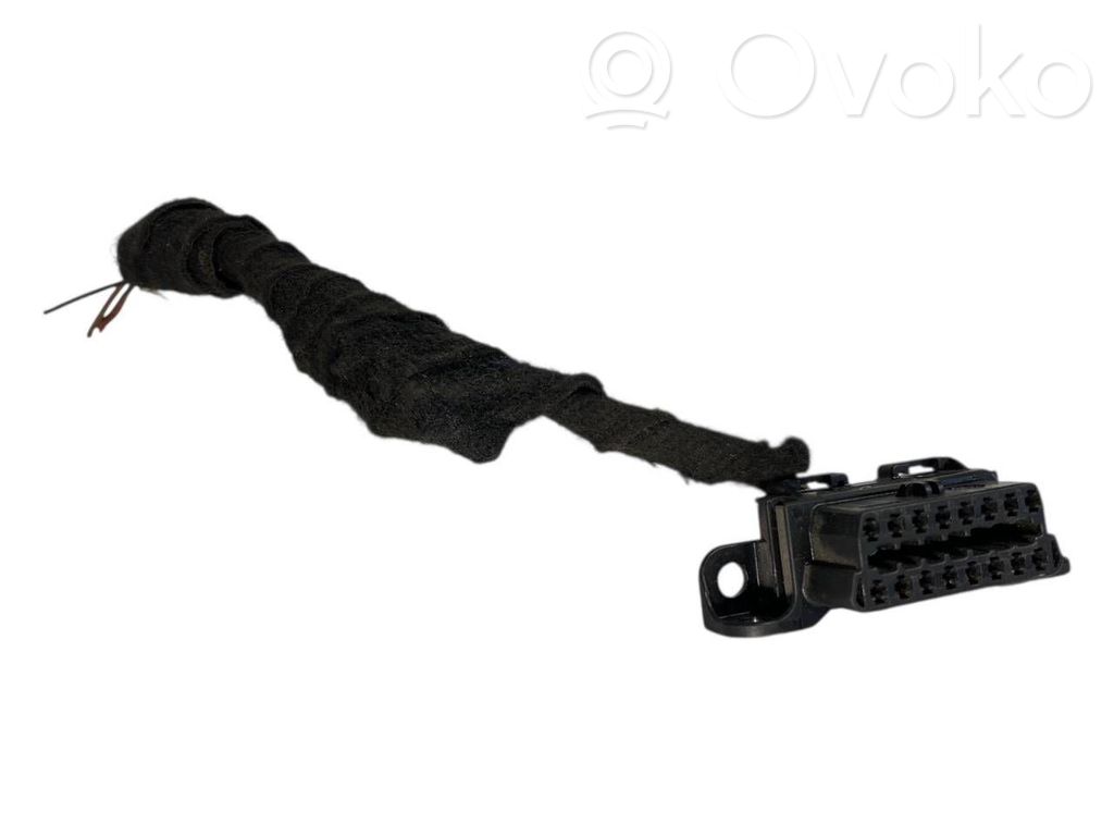 Other wiring loom   6954580