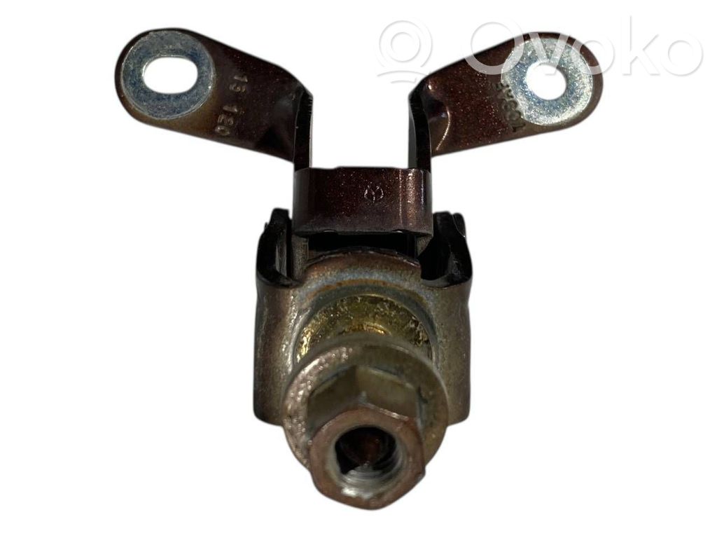 Tailgate/trunk/boot hinge   709AF
