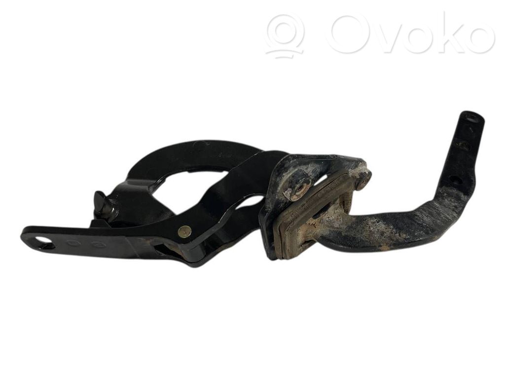 Tailgate/trunk/boot hinge   8643157