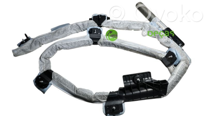 Roof airbag   84695648305C