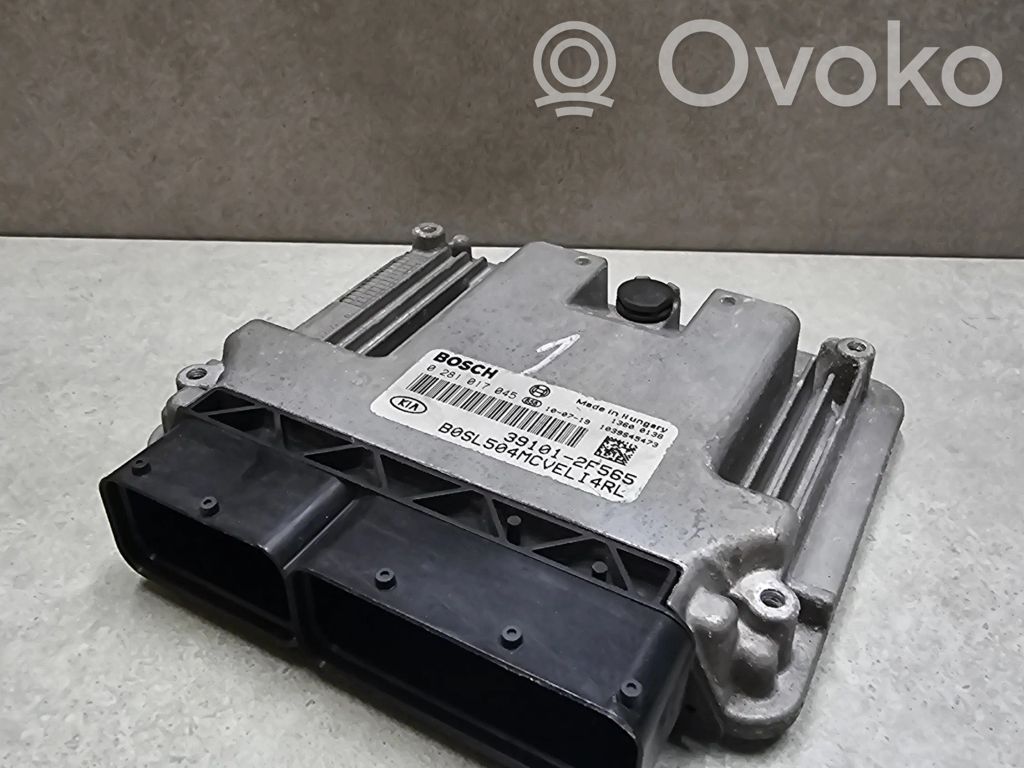 KIA Sportage Engine control unit/module 