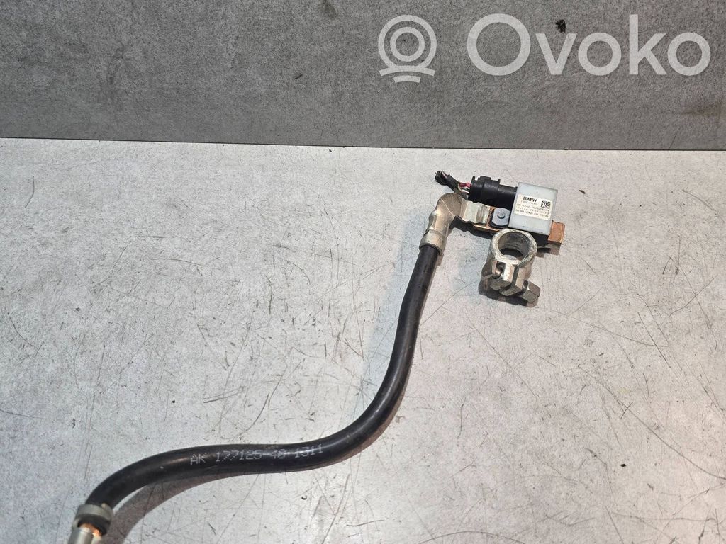 Negative earth cable (battery)   7616200,0148113959,1BS2010