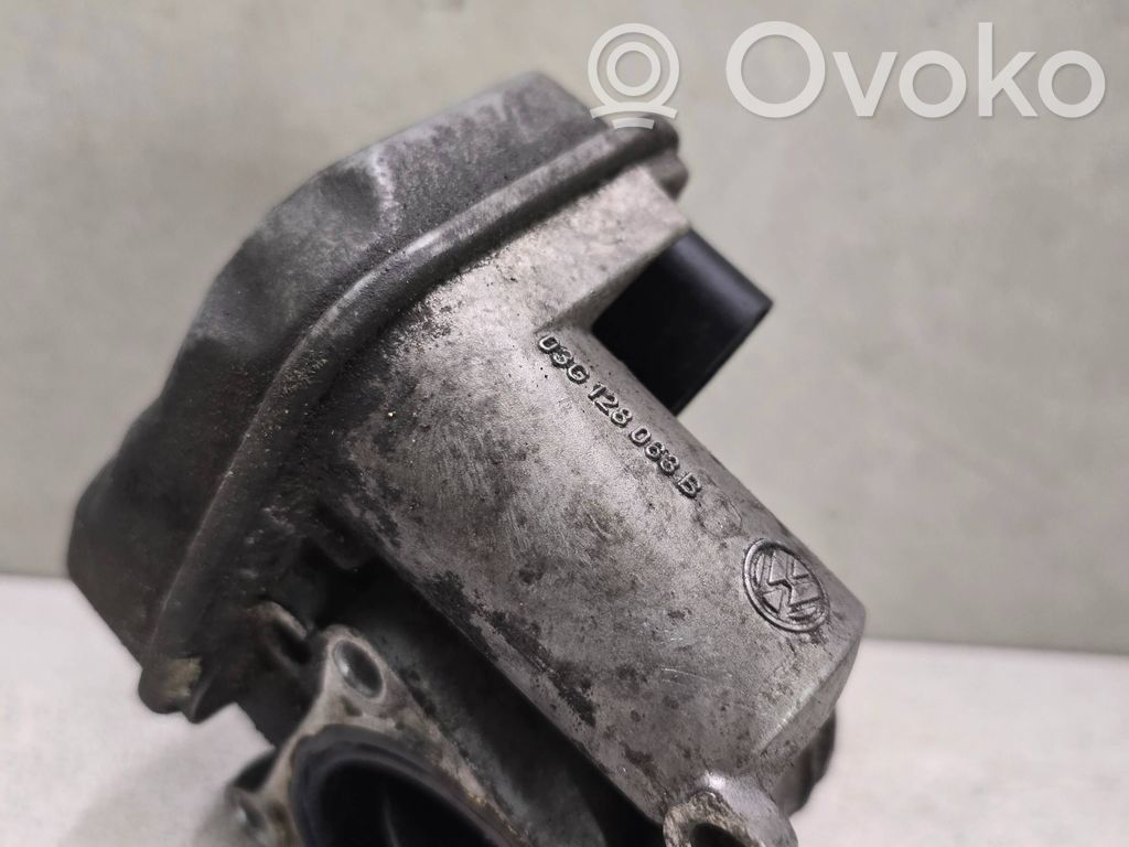 Volkswagen PASSAT B6 Válvula de mariposa 