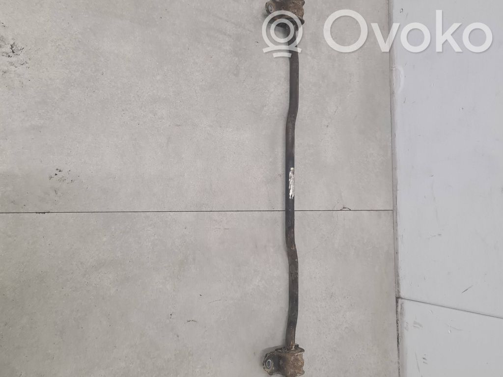 Tesla Model 3 Galinis stabilizatorius 
