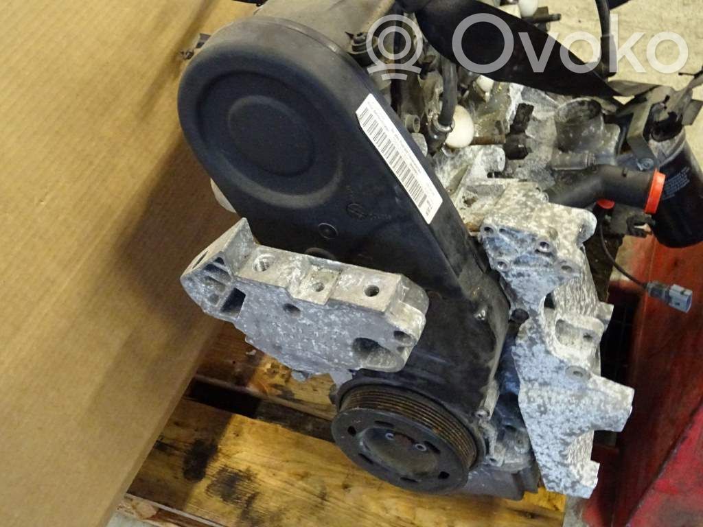 Volkswagen Golf VI Motor 
