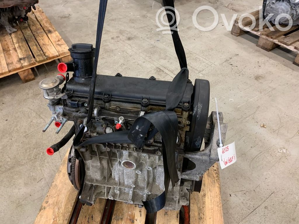 Volkswagen Golf V Motor 