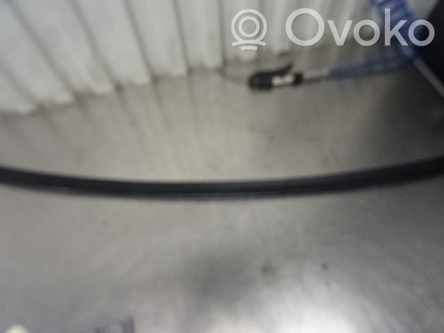 Tailgate/trunk spoiler   51717894050,N028755,51712695698