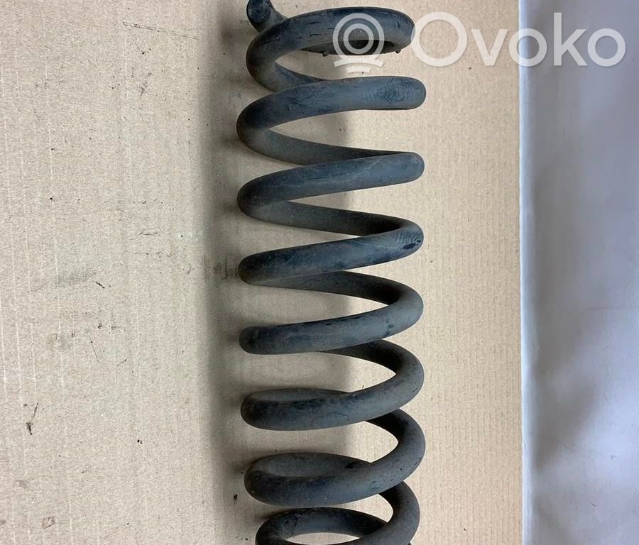 Rear coil spring   33536767349,166135