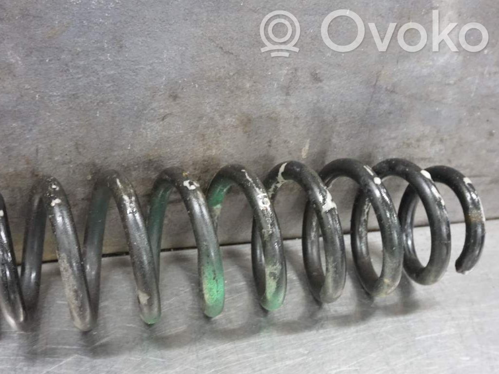 Muelle espiral trasero   33536767336,166052