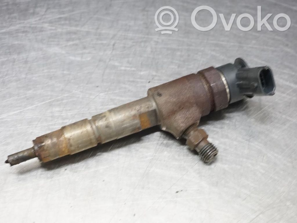Inyector de combustible   1703287,173146