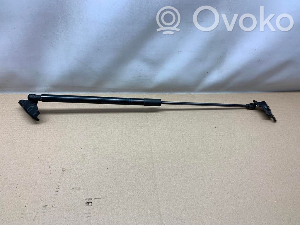Tailgate strut   6896002201,251877