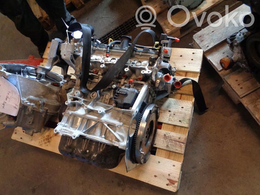 Moottori   P5Z202300,N018141