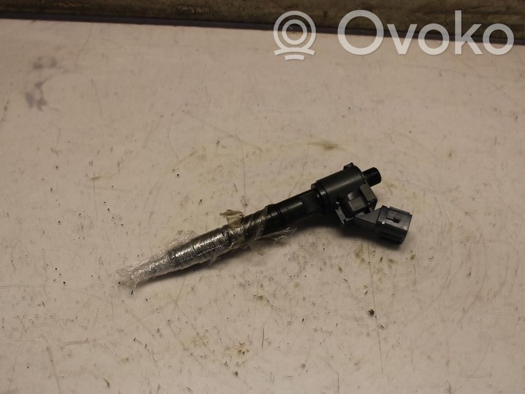 Inyector de combustible   36010045,N016464