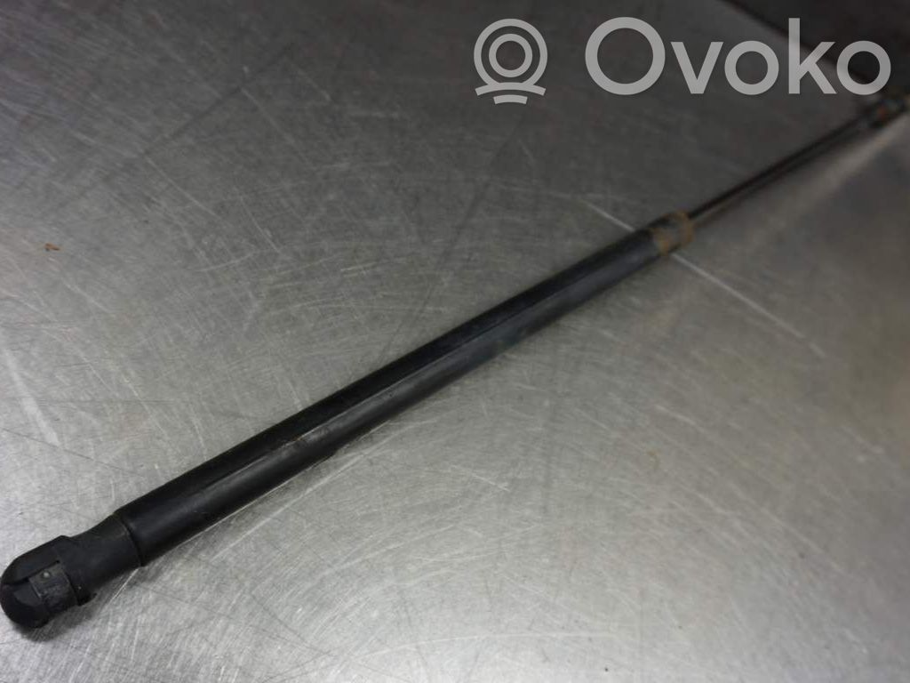 Tailgate strut   1684275,N028207