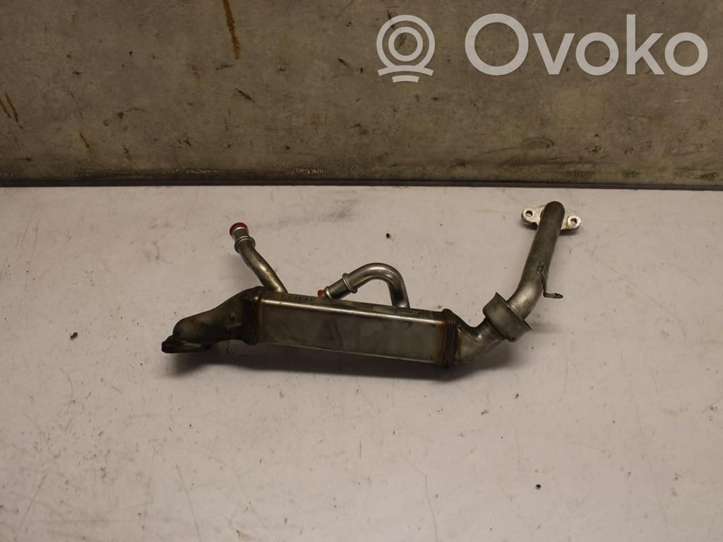 Chłodnica spalin EGR   A6401400875,N059847